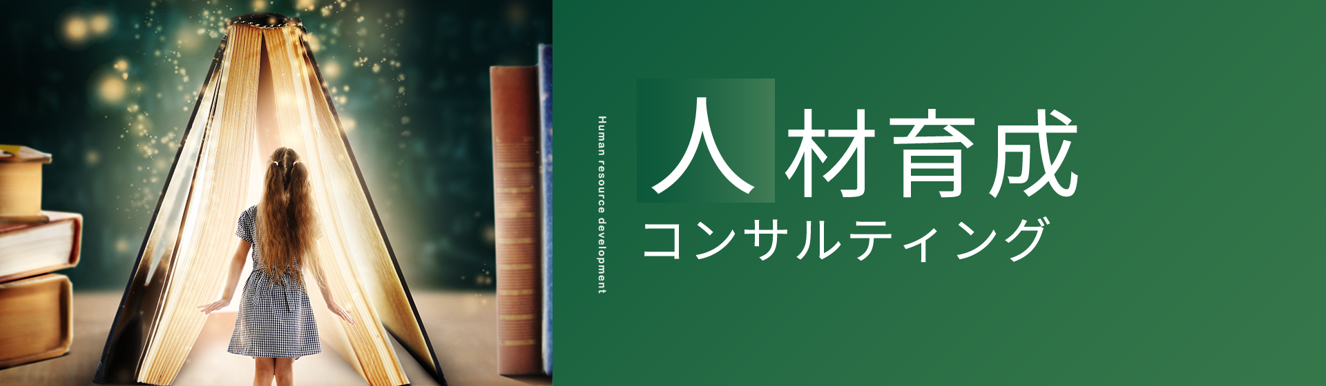 人材育成コンサルティング